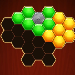 Hexa Puzzle Hexa Puzzle